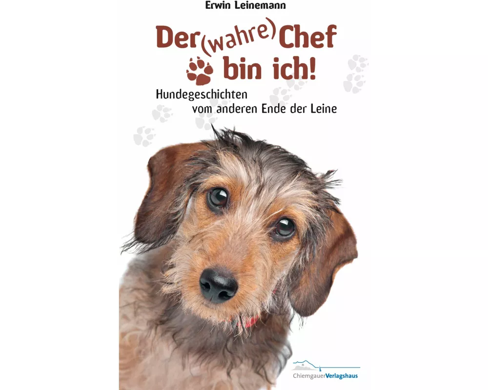 Der (wahre) Chef bin ich!
