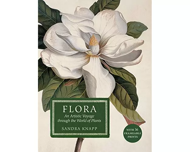 Flora: An Artistic Voyage Through the World of Plants