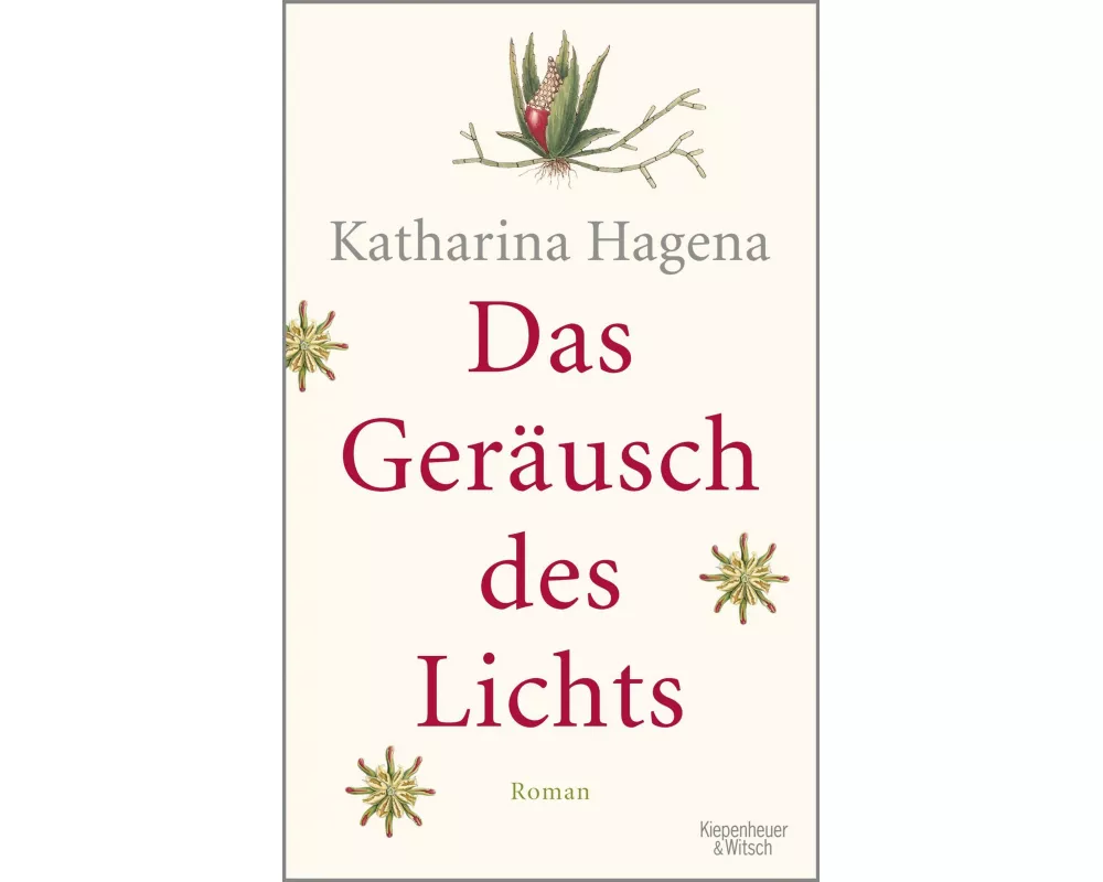 Das Geräusch des Lichts