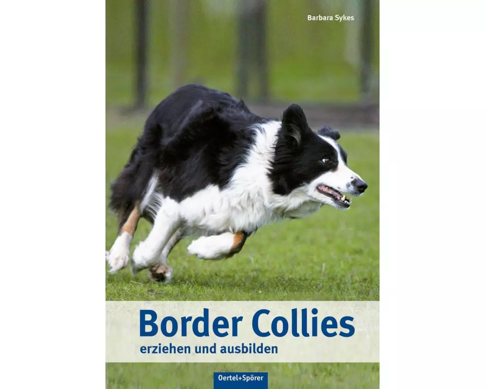 Border Collies erziehen und ausbilden