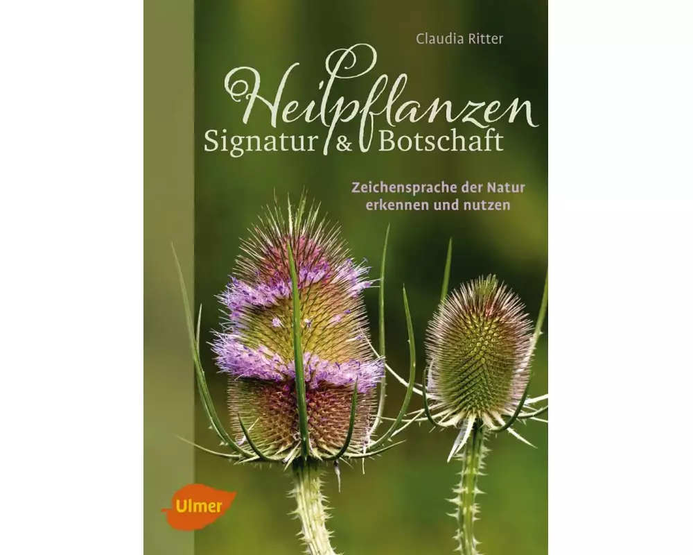 Heilpflanzen. Signatur und Botschaft