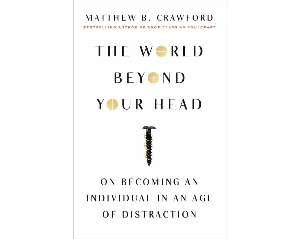 The World Beyond Your Head