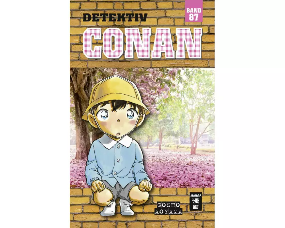 Detektiv Conan 87