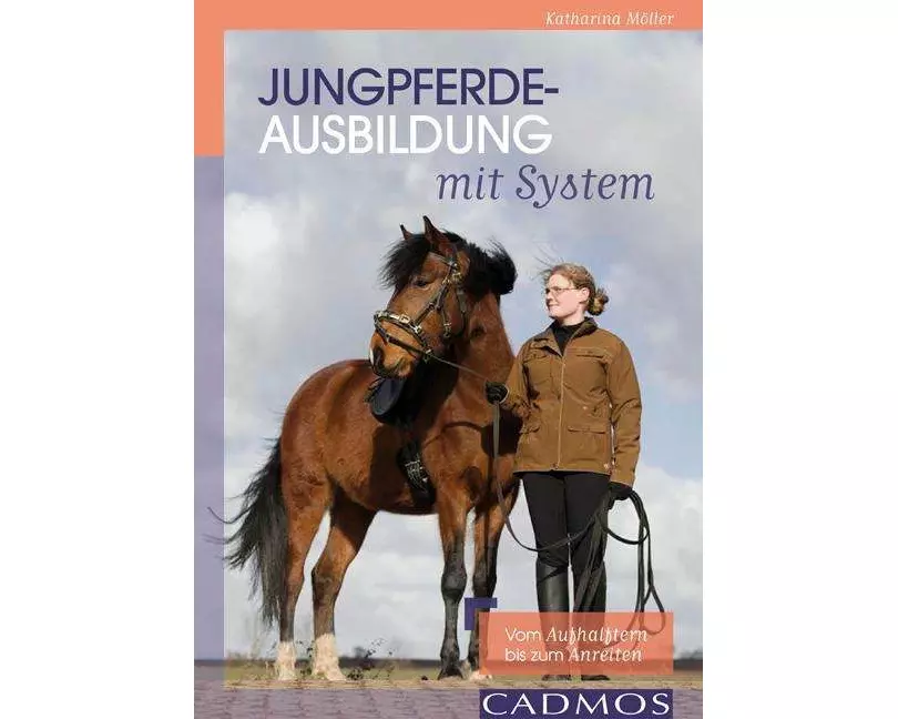 Jungpferdeausbildung mit System