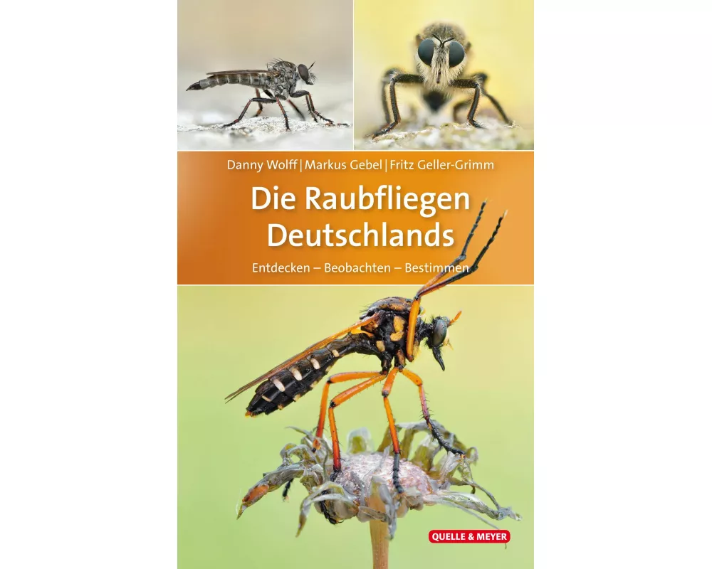 Die Raubfliegen Deutschlands