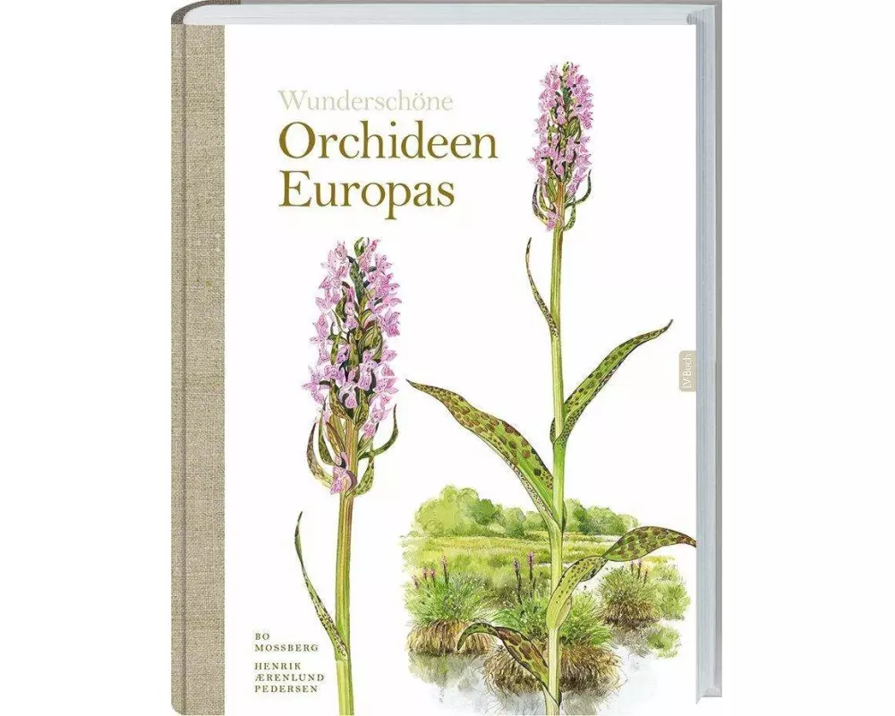 Wunderschöne Orchideen Europas