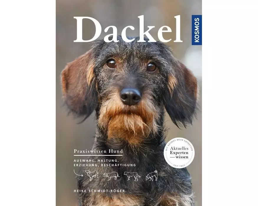 Dackel