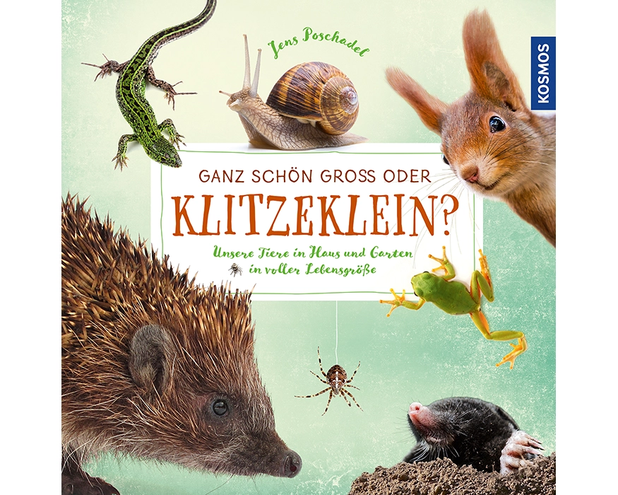 Ganz schön groß oder klitzeklein?