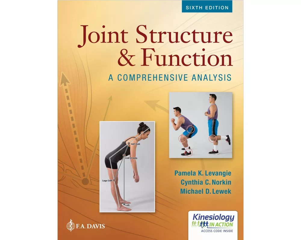 Joint Structure & Function