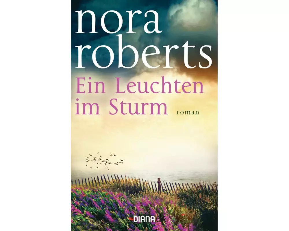 Ein Leuchten im Sturm