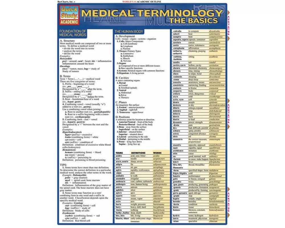 Medical Terminology: The Basics