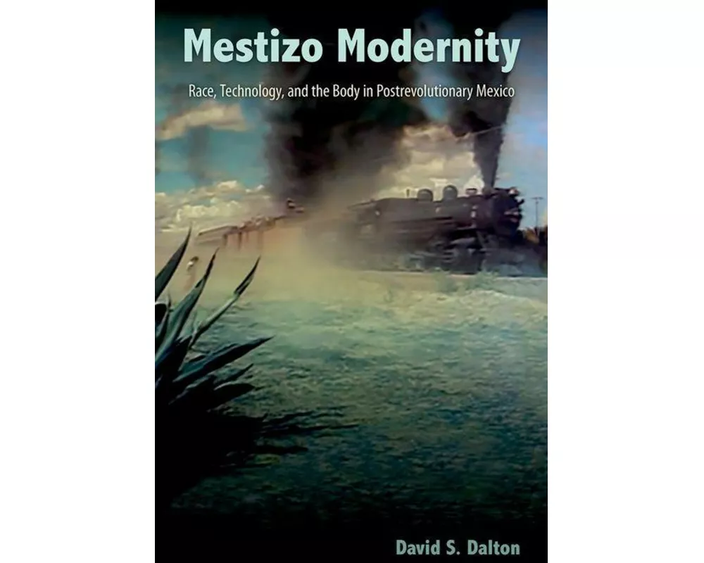 Mestizo Modernity