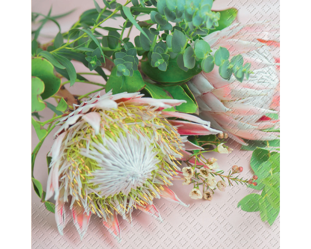 STEWO Serivette Protea 33x33cm 2572568925 rosa FSC 20 Stück