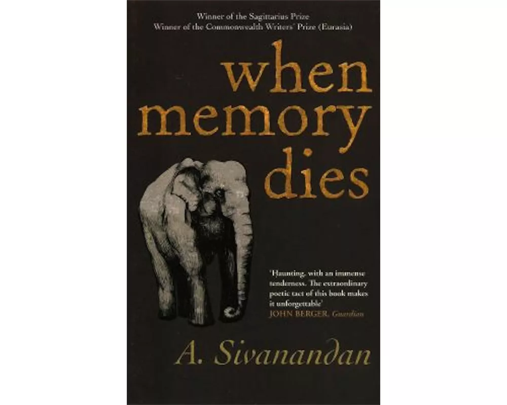 When Memory Dies
