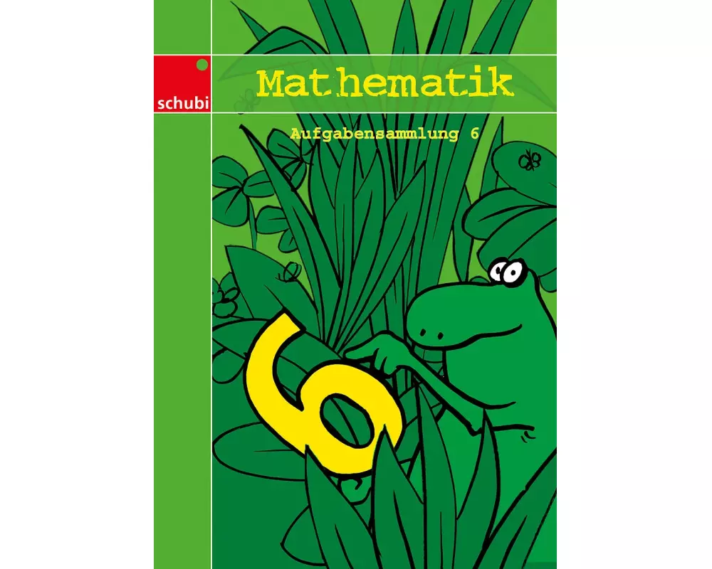 Mathematik 6