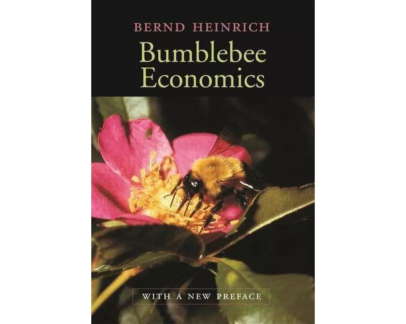 Bumblebee Economics
