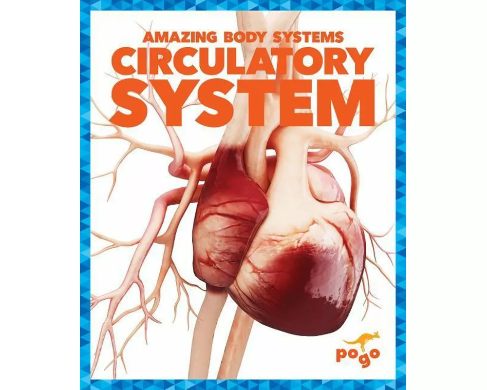 Circulatory System