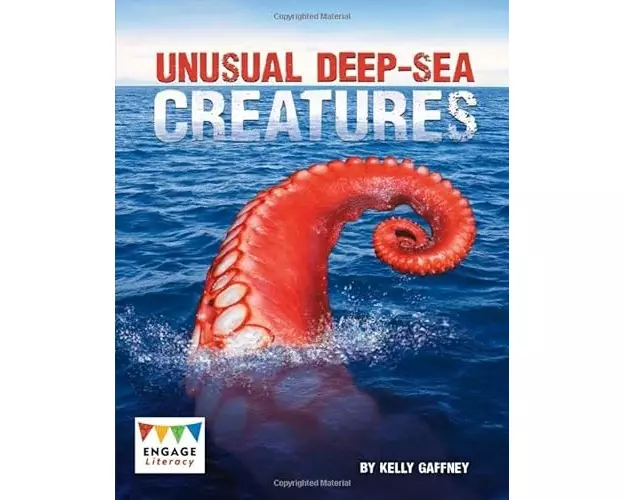 Unusual Deep-sea Creatures