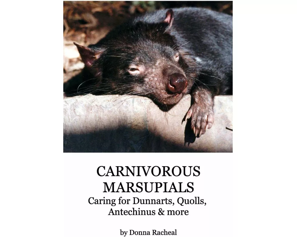 Carnivorous Marsupials - Caring for