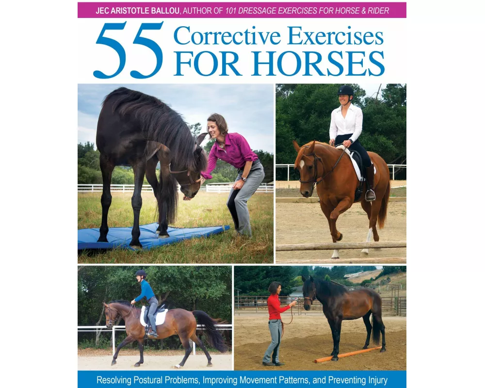55 Corrective Exercises for Horses