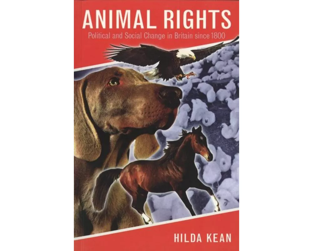 Animal Rights