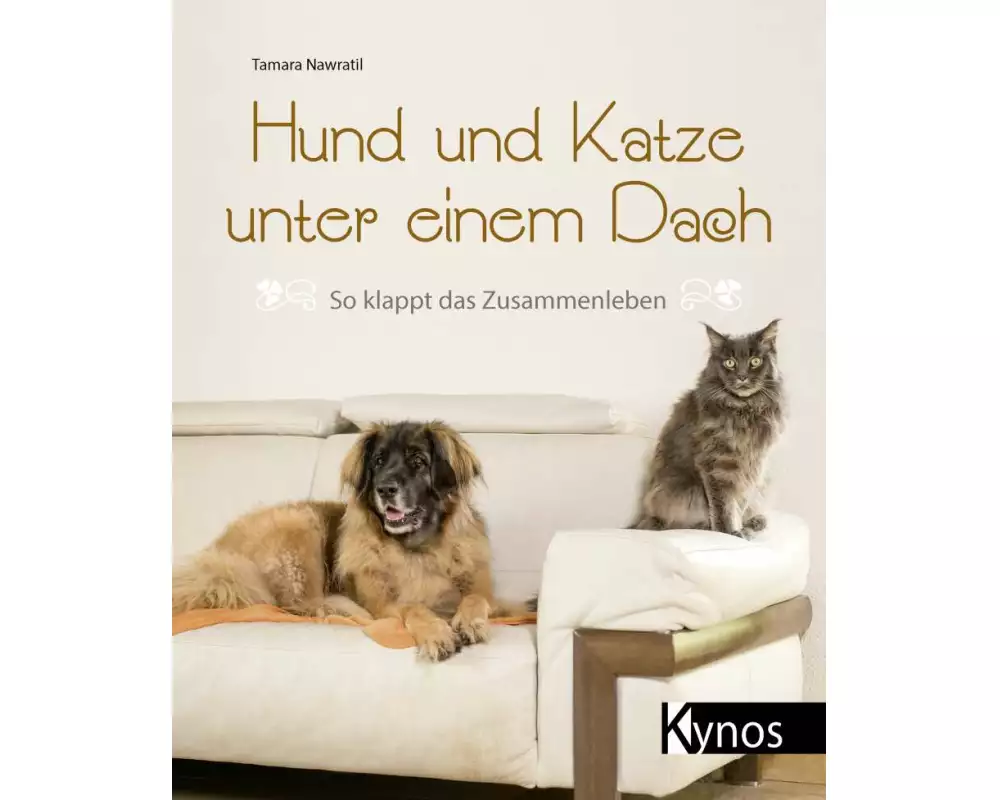 Hund und Katze unter einem Dach