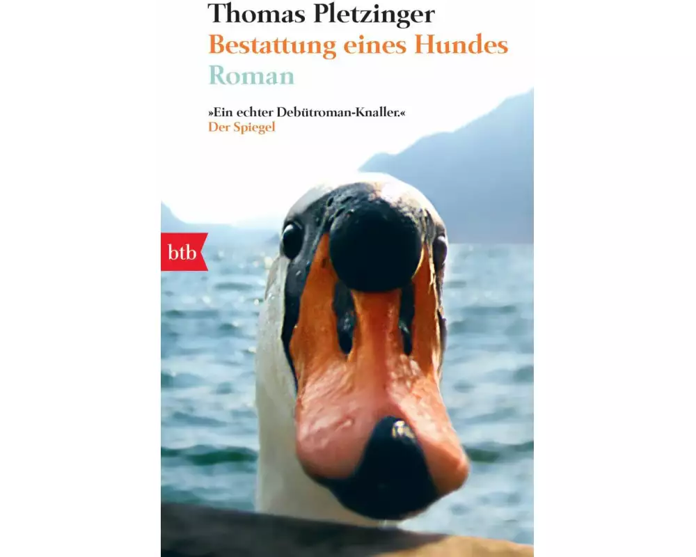 Bestattung eines Hundes