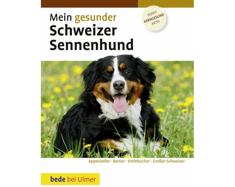 Mein gesunder Schweizer Sennenhund