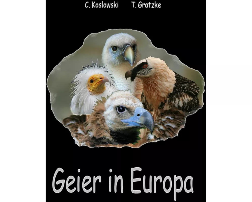Geier in Europa