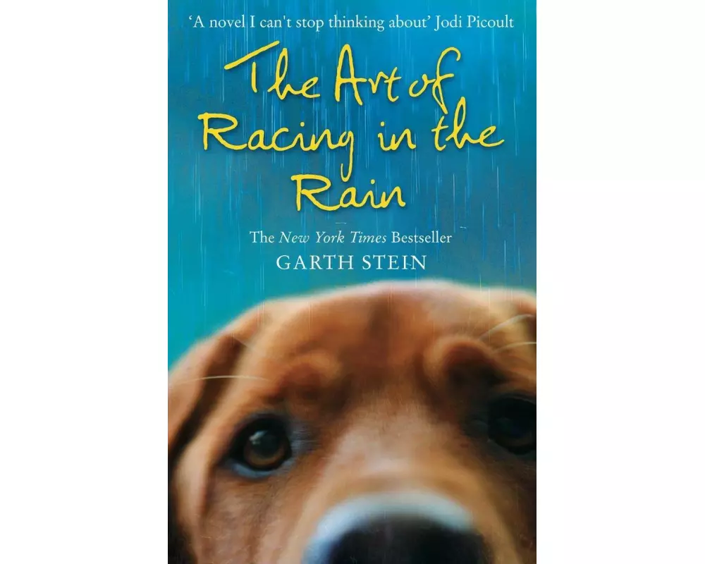 The Art of Racing in the Rain