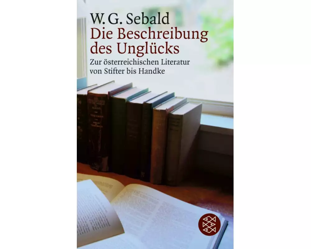 Die Beschreibung des Unglücks