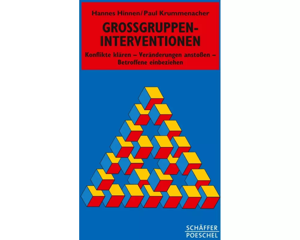 Grossgruppen-Interventionen