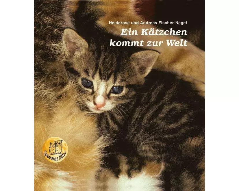 Ein Kätzchen kommt zur Welt