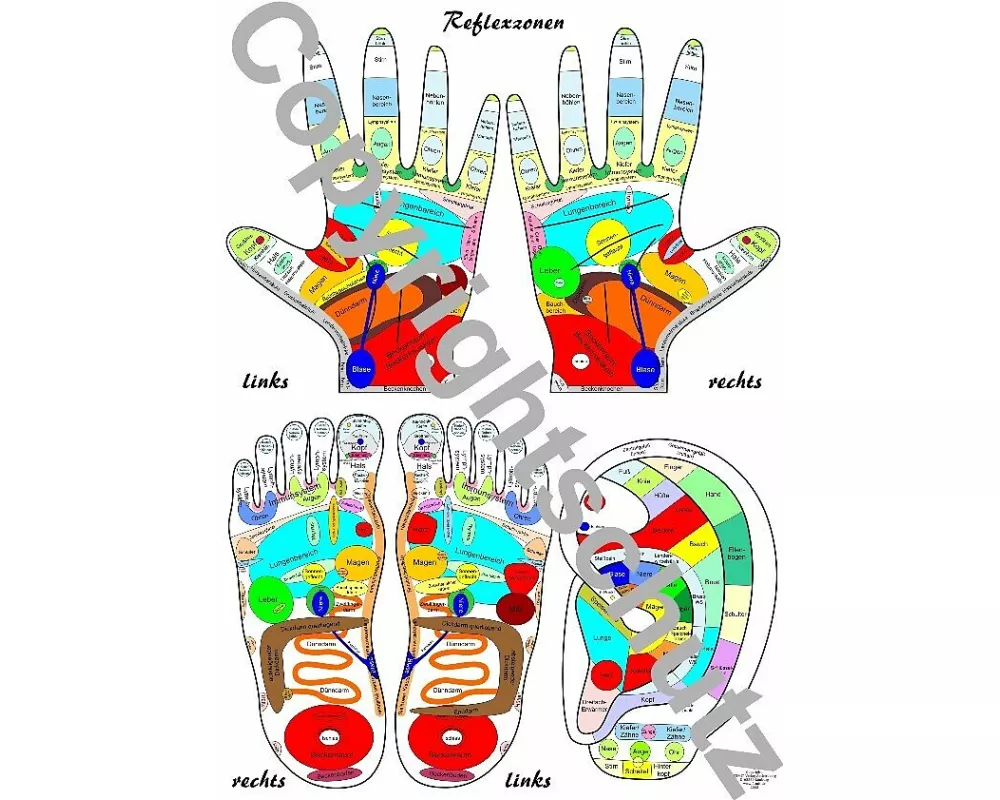 Reflexzonenübersicht - Füße, Hände und Ohr