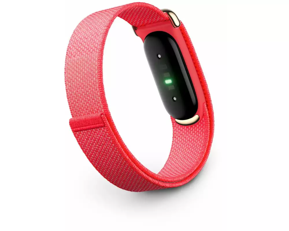 Fitbit Air Rot