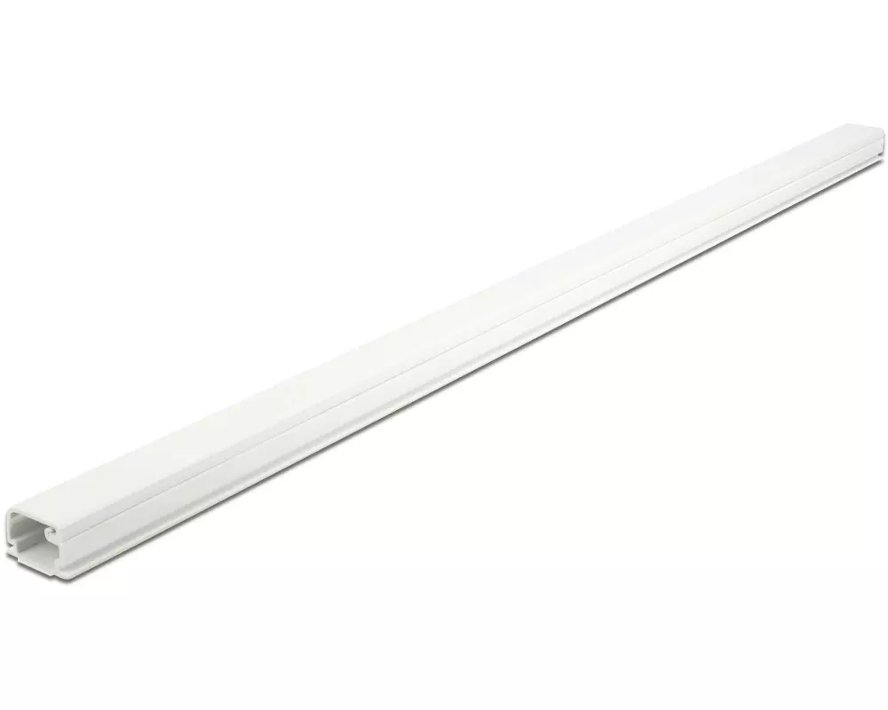 Delock Kabelkanal selbstklebend 1 m x 22 mm Weiss