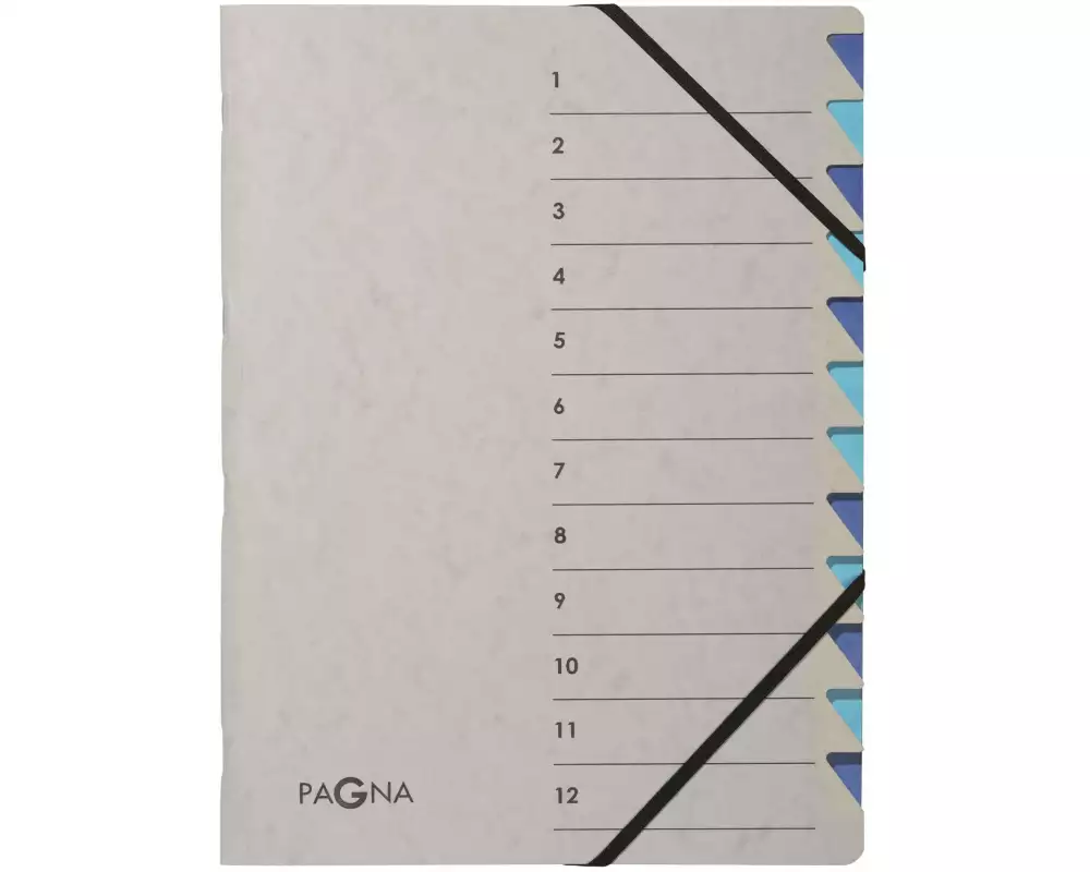 Pagna Ordnungsmappe A4 Easy Grey Grau; Blau, 12 Fächer