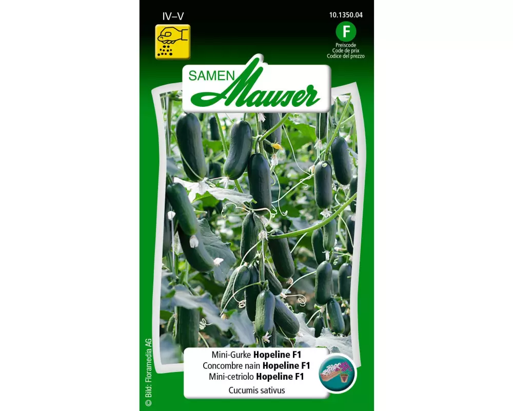 Samen Mauser Samen Urban Gardening Mini-Gurke Hopeline F1