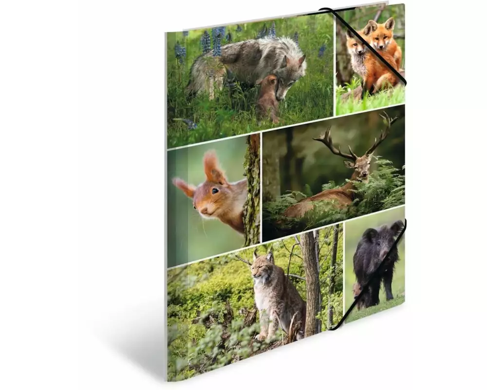 HERMA Gummibandmappe Waldtiere A4, Mehrfarbig