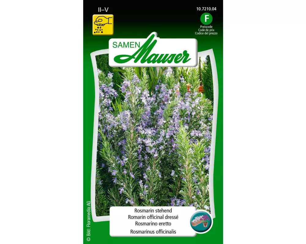 Samen Mauser Samen Rosmarin stehend