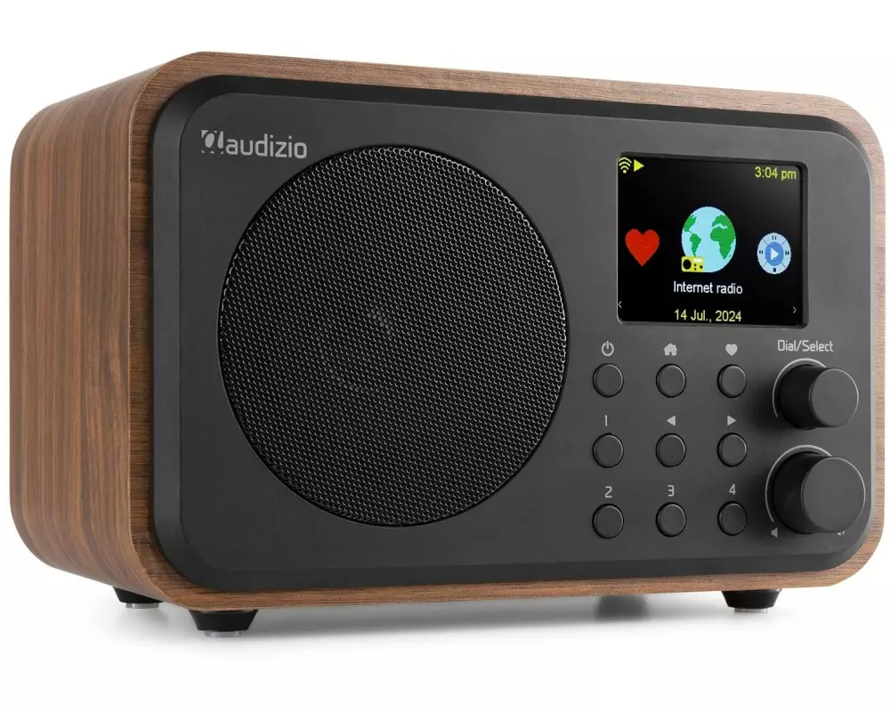 Audizio DAB+ Radio Vicenza Braun