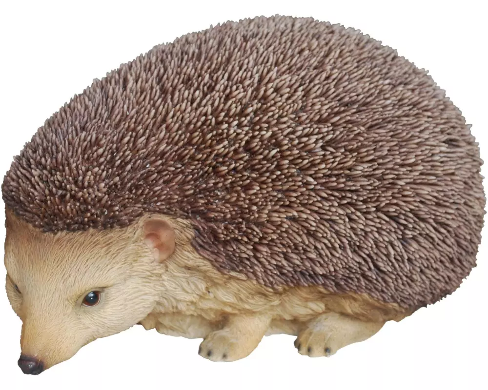 Vivid Arts Dekofigur Igel