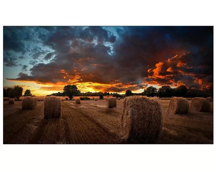 Samsung Videowall Display VM55B-U 55"