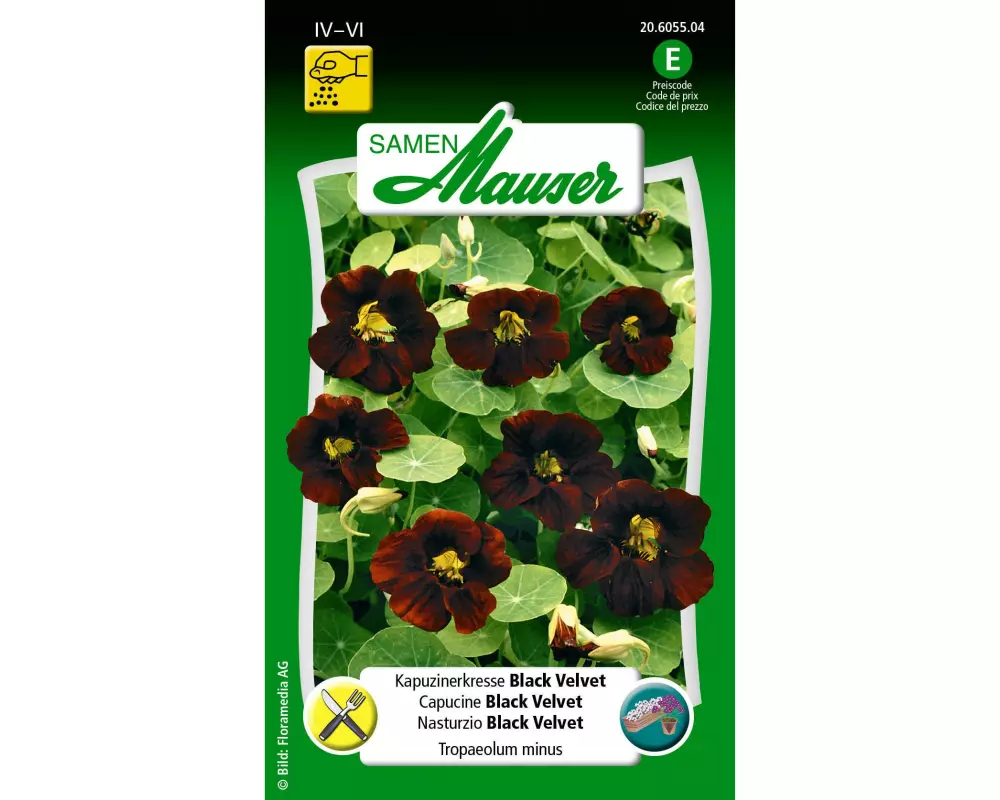 Samen Mauser Essbare Blüten Kapuzinerkresse Black Velvet