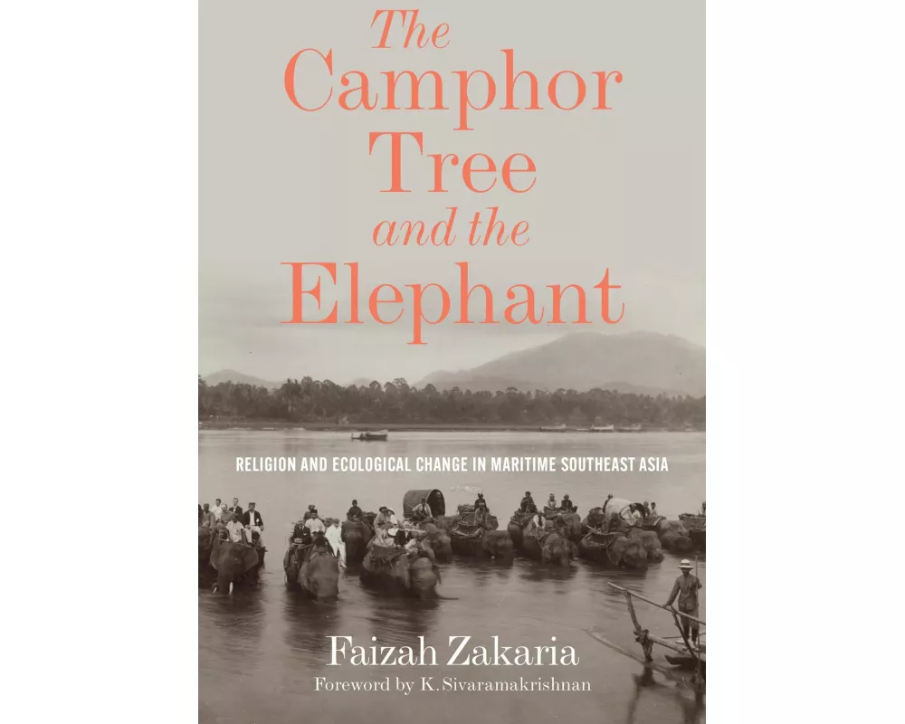 The Camphor Tree and the Elephant