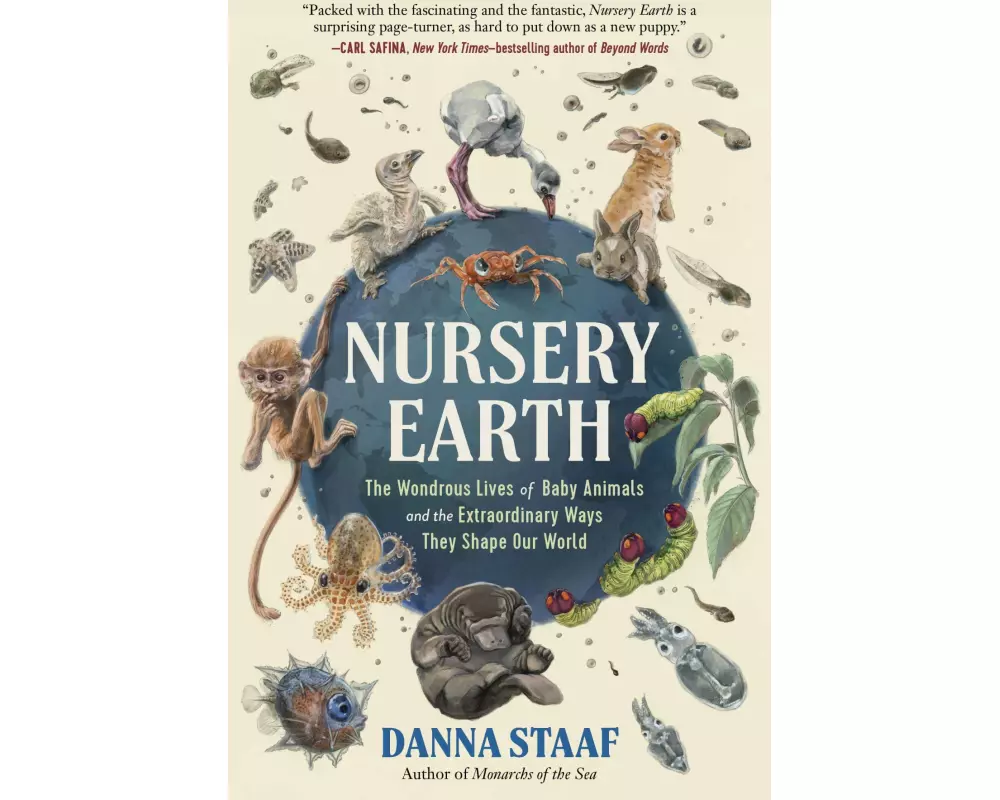 Nursery Earth