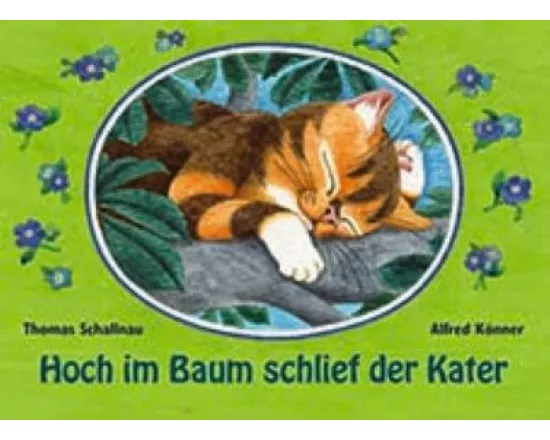 Hoch im Baum schlief der Kater