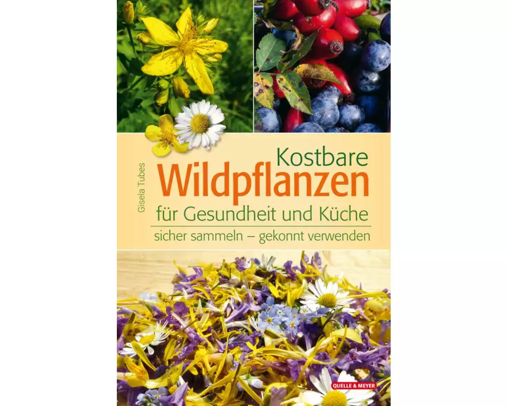 Kostbare Wildpflanzen für Gesundheit und Küche