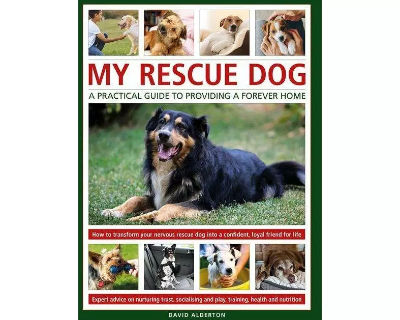 My Rescue Dog: A practical guide to providing a forever home