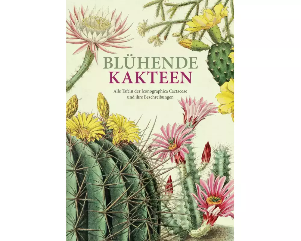 Blühende Kakteen